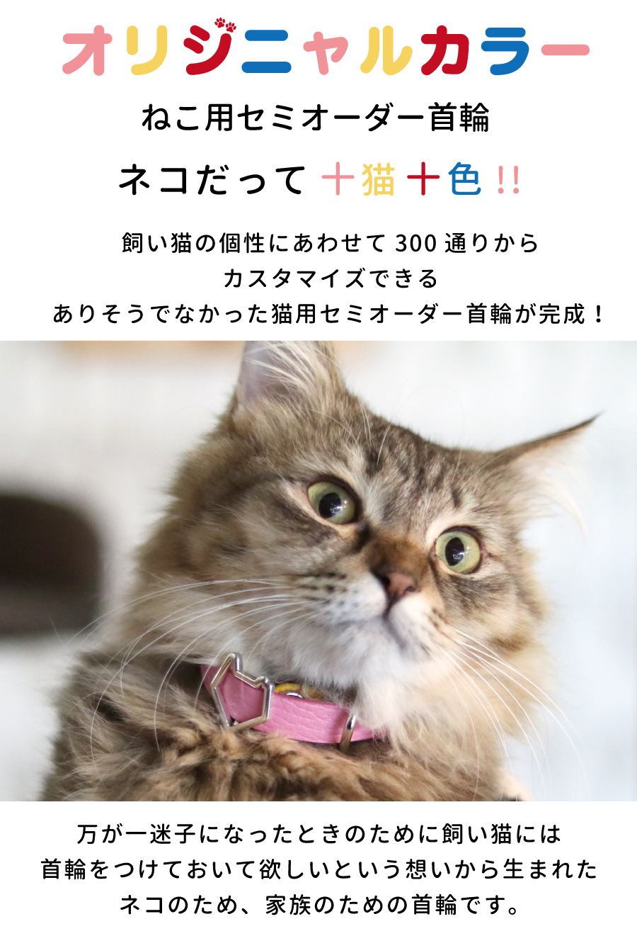 猫糸✳︎（猫を飼っています）様専用⸝⋆⸝⋆ - 猫用品