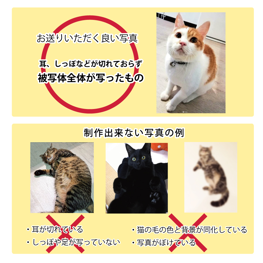 ウチノコジュエリー写真NGの例