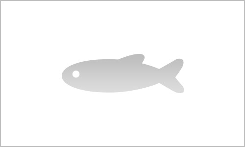 さかな