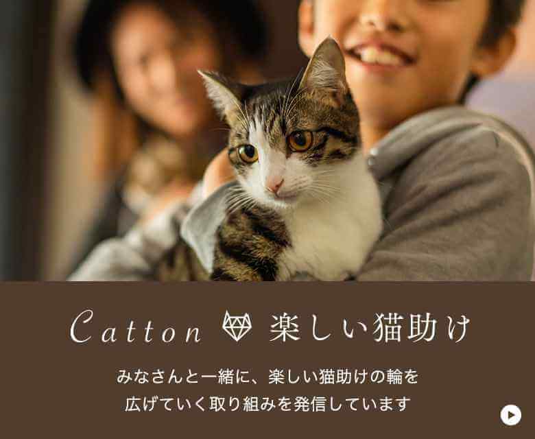 Catton〜みなさんと一緒に、楽しい猫助けを広げていく取り組みを発信しています