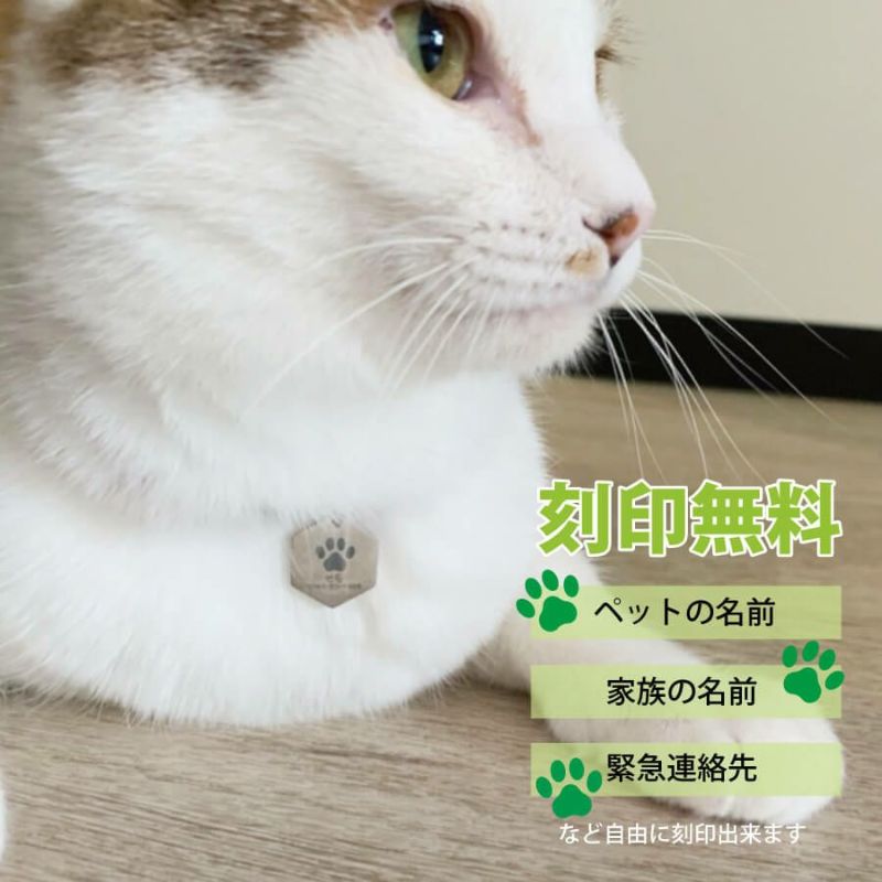 猫の首輪　迷子札 CT-goods04